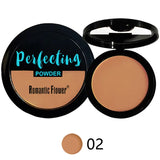 3-Color Dark Powder Bronze Powder Dark Skin Foundation Oil Control Concealer Brighten the Face Create Three-Dimensional Makeup