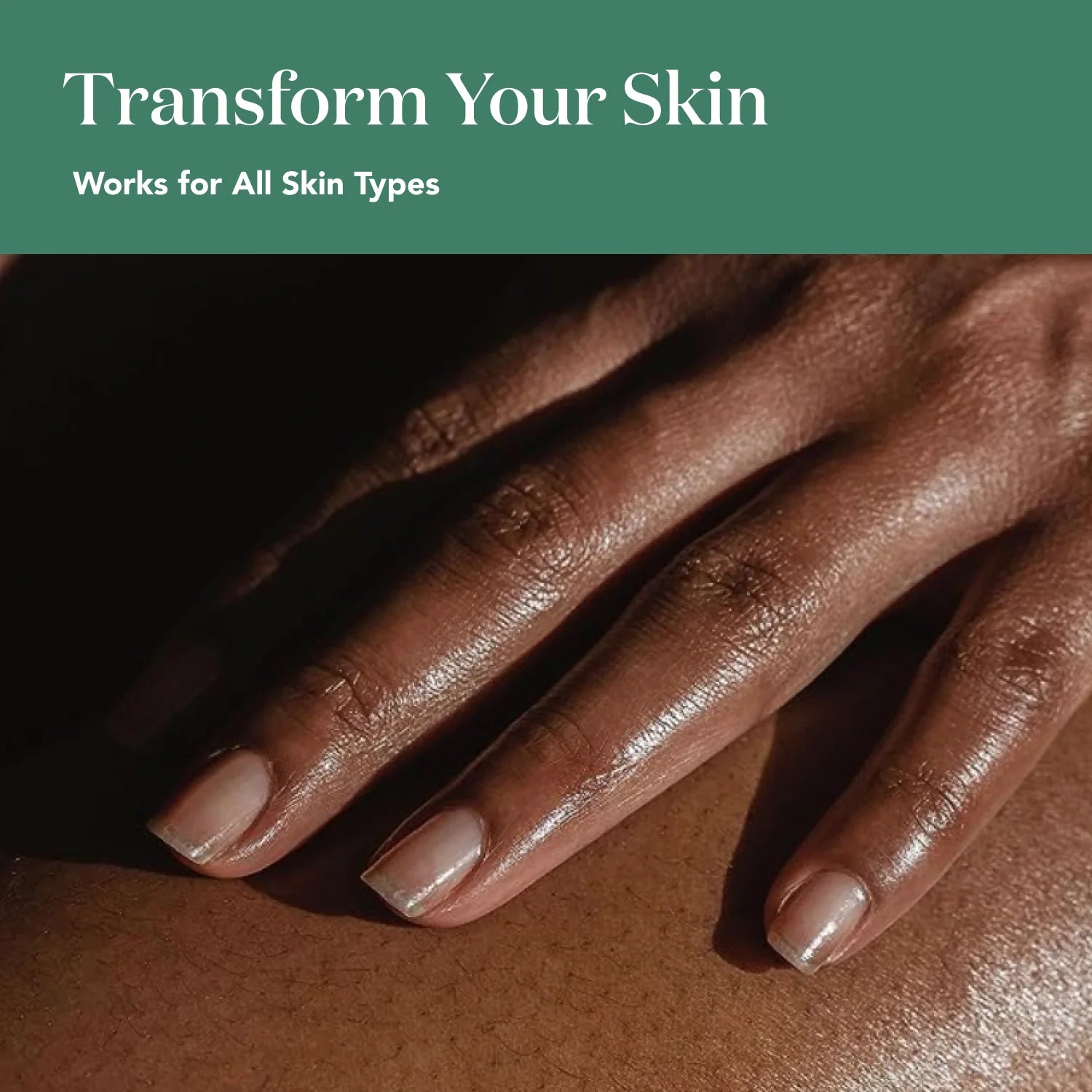 Sweet Almond Oil Body Oil | 16 Oz (LARGE) | Pure & Cold-Pressed